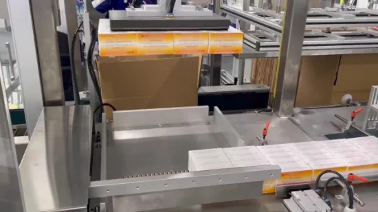 Confezionatrice completamente automatica per scatole di carta usa e getta per scatole di cartone verticali